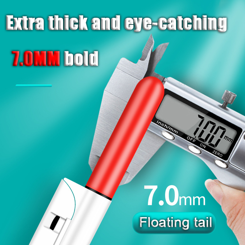 2pcs LED Night Light Electroni - огляд і ціна Fish Finder Battery